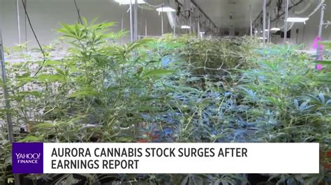 aurora cannabis stock yahoo finance